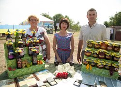 Науково-виробничі напрацювання УНУС – присвята ювілею Батьківщини