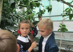 Далекоглядні школярі вже обирають професії