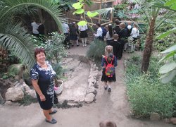 Далекоглядні школярі вже обирають професії