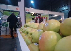 Студенти УНУС відвідали міжнародну виставку продовольчої продукції «Ukrainian Food Expo 2017»