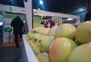 Студенти УНУС відвідали міжнародну виставку продовольчої продукції «Ukrainian Food Expo 2017»