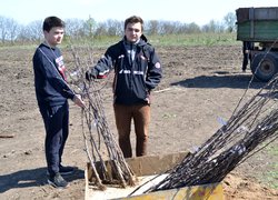 Новому яблуневому саду УНУС  цвісти!