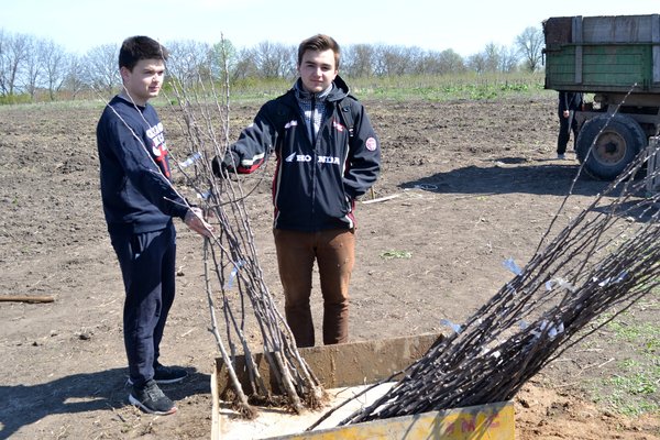 Новому яблуневому саду УНУС  цвісти!