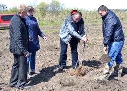 Новому яблуневому саду УНУС  цвісти!