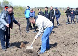 Новому яблуневому саду УНУС  цвісти!