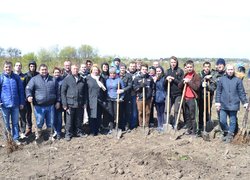 Новому яблуневому саду УНУС  цвісти!