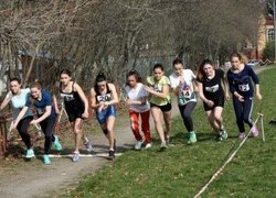 Студентське життя факультету плодоовочівництва, екології та захисту рослин за підсумками 2016 року