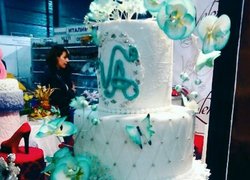 2016 став роком пізнання для студентів інженерно-технологічного факультету УНУС