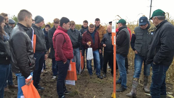 Представник компанії KWS розповідає про  сорт кукурудзи КРАБАС