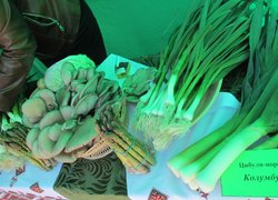 Уманський НУС учасник Всеукраїнського AGROSHOW UKRAINE 2017