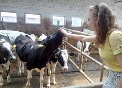 Практичний досвід управління виробничими процесами