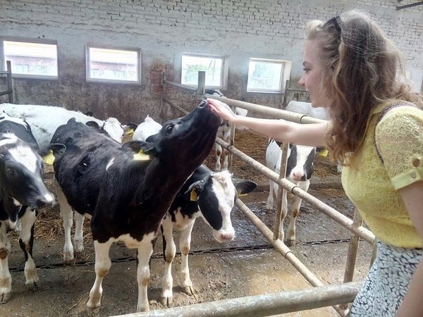 Практичний досвід управління виробничими процесами