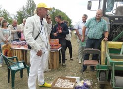 Гіркий овоч – та великі перспективи