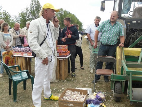 Гіркий овоч – та великі перспективи