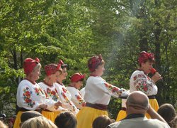 Гіркий овоч – та великі перспективи