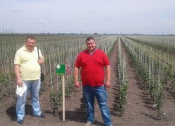 Всеукраїнський День поля та саду