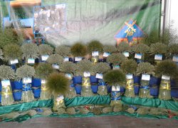 Всеукраїнський День поля та саду