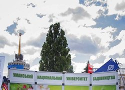 Моя професія – менеджер з туризму