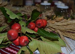 150 – лише початок!