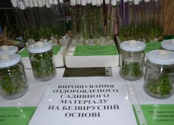 150 – лише початок!