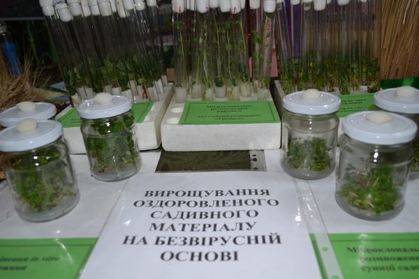 150 – лише початок!