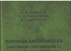 Чорниця високоросла (Vaccinium corymbosum L.): біологічні особливості, інтродукція, сорти, технологія розмноження і виробництва / співавтор А. Балабак