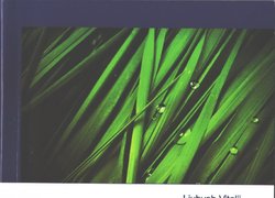 Quality features of spelt wheat grain / Liubych V. V., Hospodarenko H. M., Poltoretskyi S. P.