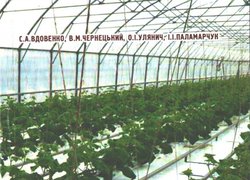 Овочівництво закритого ґрунту / співавтор О. Улянич