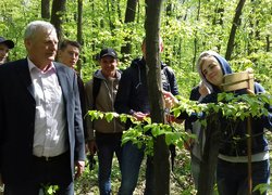З професійним святом, вартові зеленої аури планети!