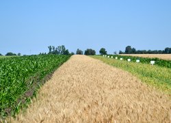 Інноваційність та актуальність наукових досліджень вчених УНУС