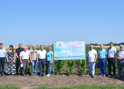 Інноваційність та актуальність наукових досліджень вчених УНУС
