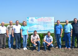 Інноваційність та актуальність наукових досліджень вчених УНУС