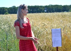 Інноваційність та актуальність наукових досліджень вчених УНУС