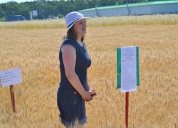 Інноваційність та актуальність наукових досліджень вчених УНУС