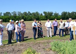 Інноваційність та актуальність наукових досліджень вчених УНУС