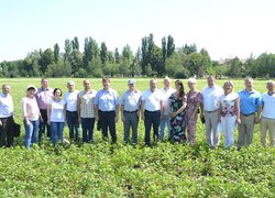 Інноваційність та актуальність наукових досліджень вчених УНУС