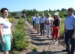 Інноваційність та актуальність наукових досліджень вчених УНУС
