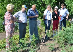 Інноваційність та актуальність наукових досліджень вчених УНУС