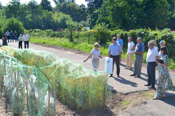 Інноваційність та актуальність наукових досліджень вчених УНУС