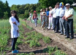 Інноваційність та актуальність наукових досліджень вчених УНУС