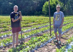 Інноваційність та актуальність наукових досліджень вчених УНУС