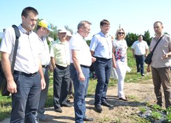 Інноваційність та актуальність наукових досліджень вчених УНУС