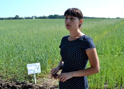 Інноваційність та актуальність наукових досліджень вчених УНУС
