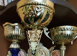 Участь волейболістів Уманського НУС у молодіжних іграх міста Умань
