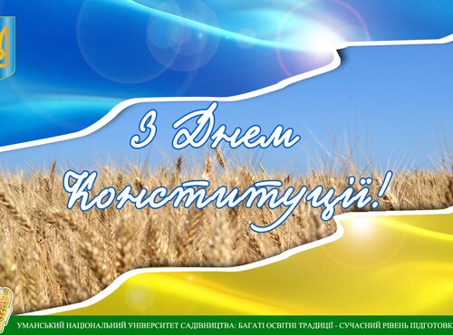З Днем Конституції, рідна країно!