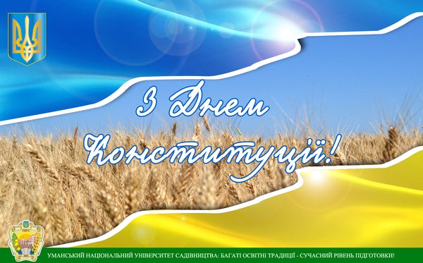 З Днем Конституції, рідна країно!