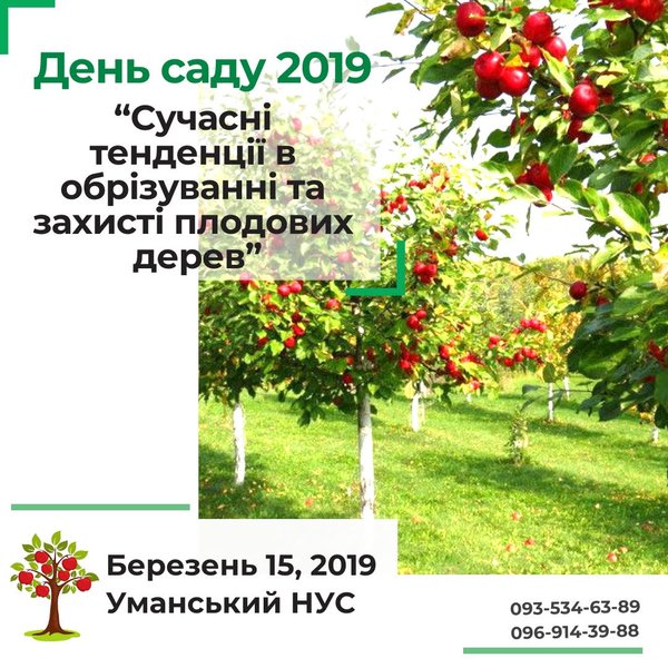 День саду - 2019
