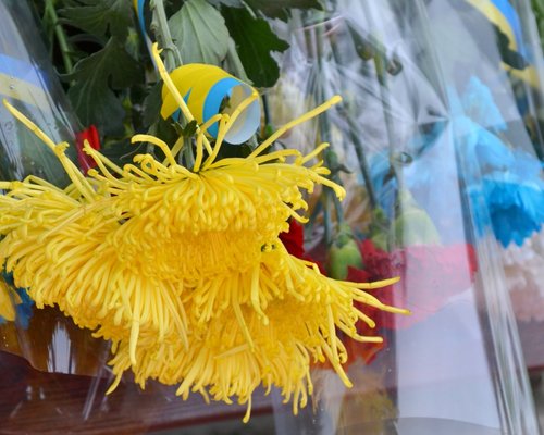 Гідність і свобода – у серцях українців