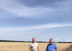 В Уманському НУС жнива на підході