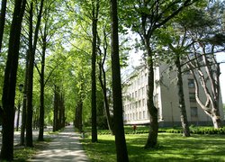 За комфортним навчанням й актуальними знаннями – в Уманський НУС